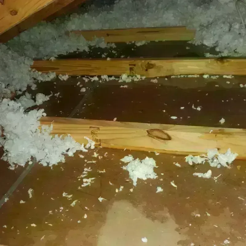 Attic Water Damage in Williamsport, PA